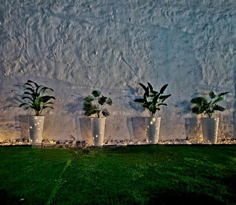فيلا La Casa Del Arbol Fuentiduena de Tajo المظهر الخارجي الصورة