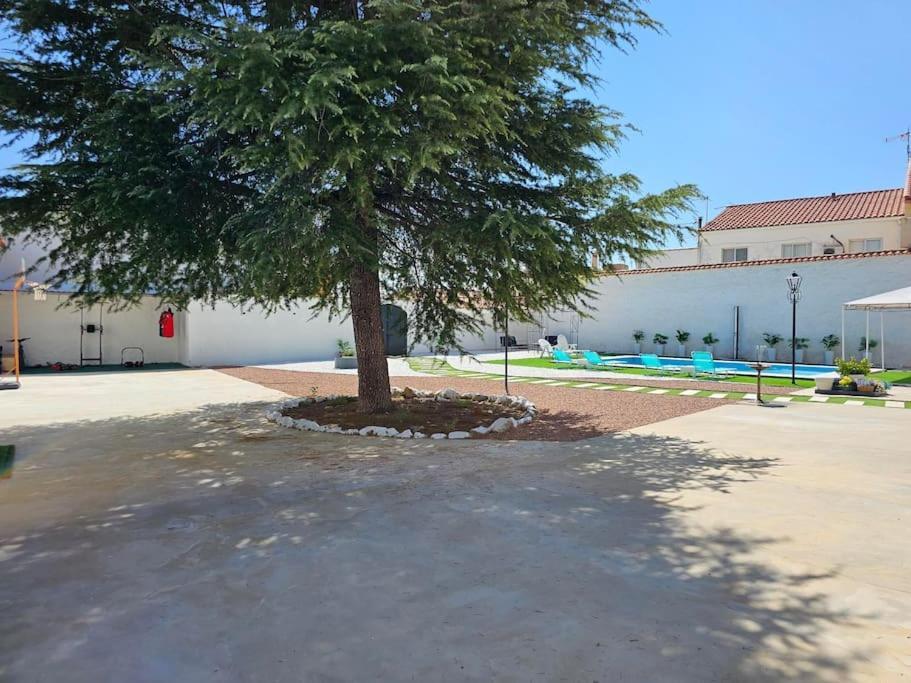 فيلا La Casa Del Arbol Fuentiduena de Tajo المظهر الخارجي الصورة